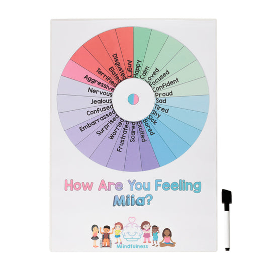Emotions Check-in Wheel